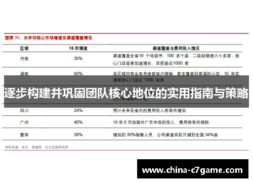 逐步构建并巩固团队核心地位的实用指南与策略